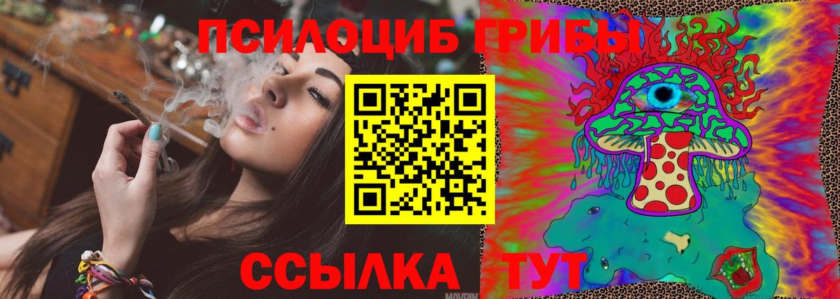 Печора  закладки  Вход с VPN  Псилоцибиновые грибы мицелий 